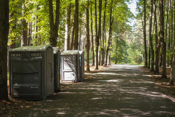 Professional Portable Potty Rental  in Wayne City, IL